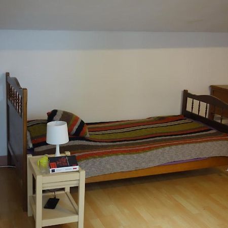 Bel Appartement Au Coeur Du Puy En Velay Le Puy-en-Velay Экстерьер фото