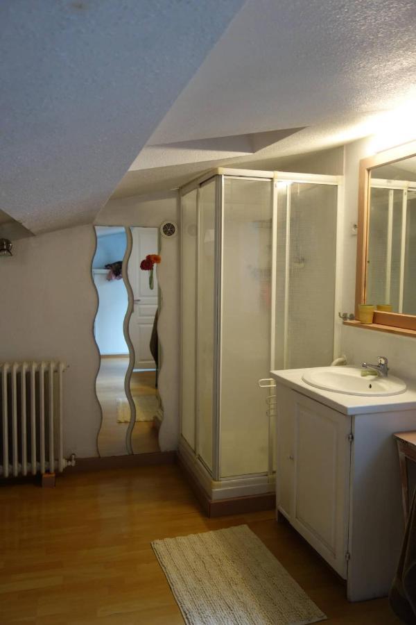 Bel Appartement Au Coeur Du Puy En Velay Le Puy-en-Velay Экстерьер фото